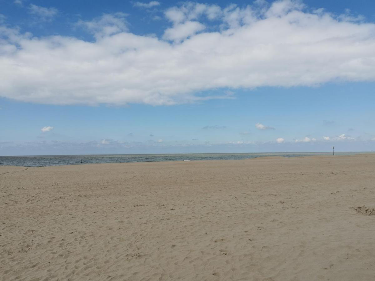 Apartament Penthouse Sparta Koksijde Zewnętrze zdjęcie